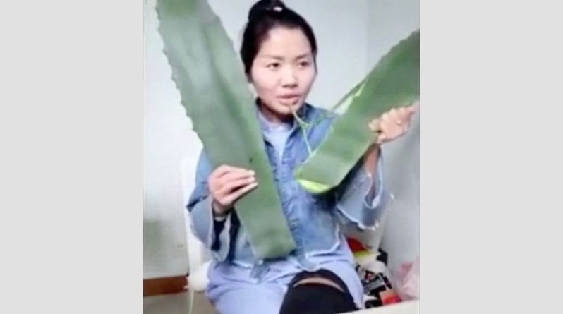 Έφαγε κατά λάθος δηλητηριώδες φυτό κι έκοψε το βίντεο στη μέση